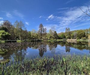 Arboretum w Bolestraszycach 