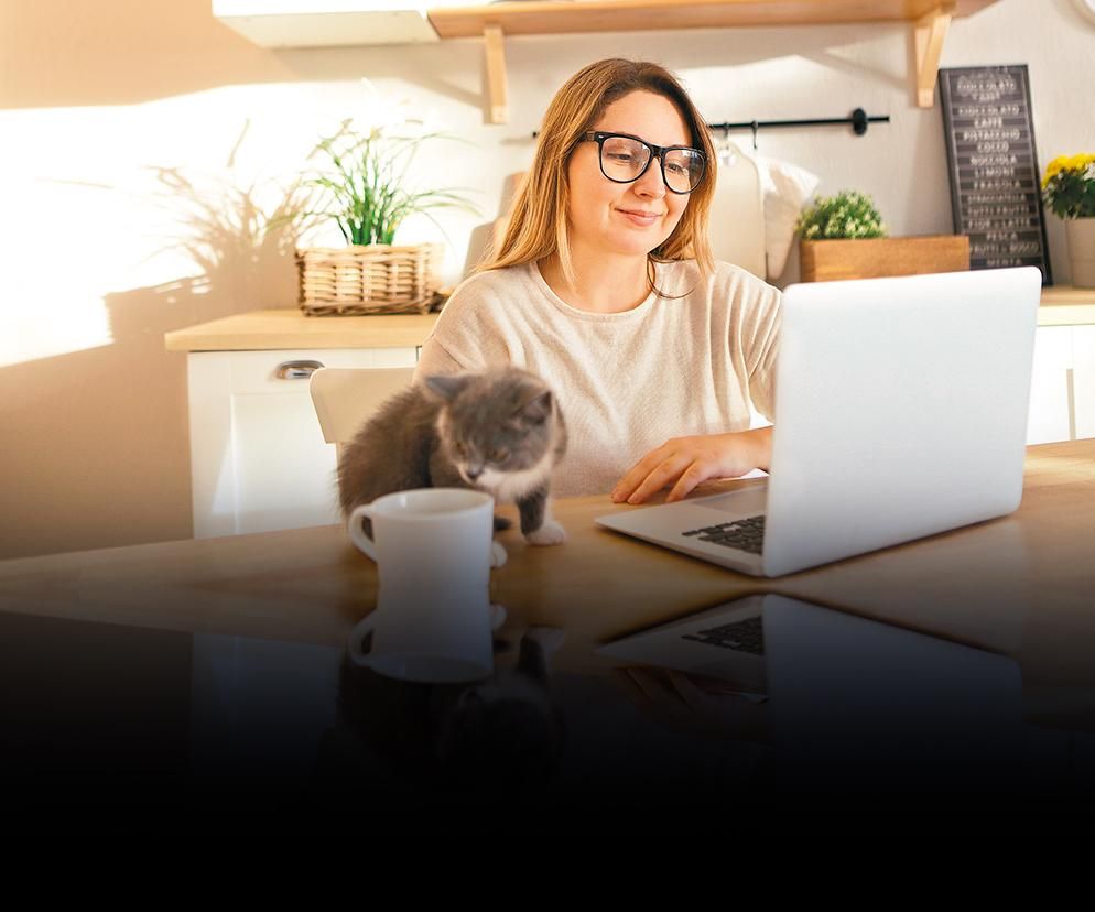 INWESTYCJA w obligacje skarbowe nowe zdjęcie do artykułu