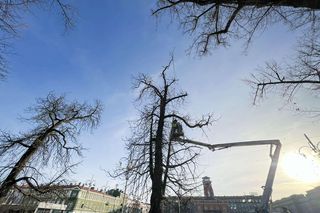 Świąteczne dekoracje, jarmark i miejski Sylwester. Częstochowa szykuje się na świętowanie