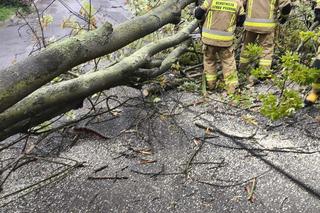 Gwałtowne burze przeszły nad Podkarpaciem 