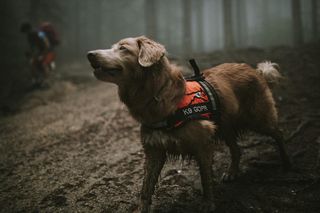  „Przyjaźń Łączy – Wspólnie dla Zwierząt” – klienci Maxi Zoo wspierają psich ratowników GOPR i zwierzęcych terapeutów ze Stowarzyszenia Zwierzęta Ludziom