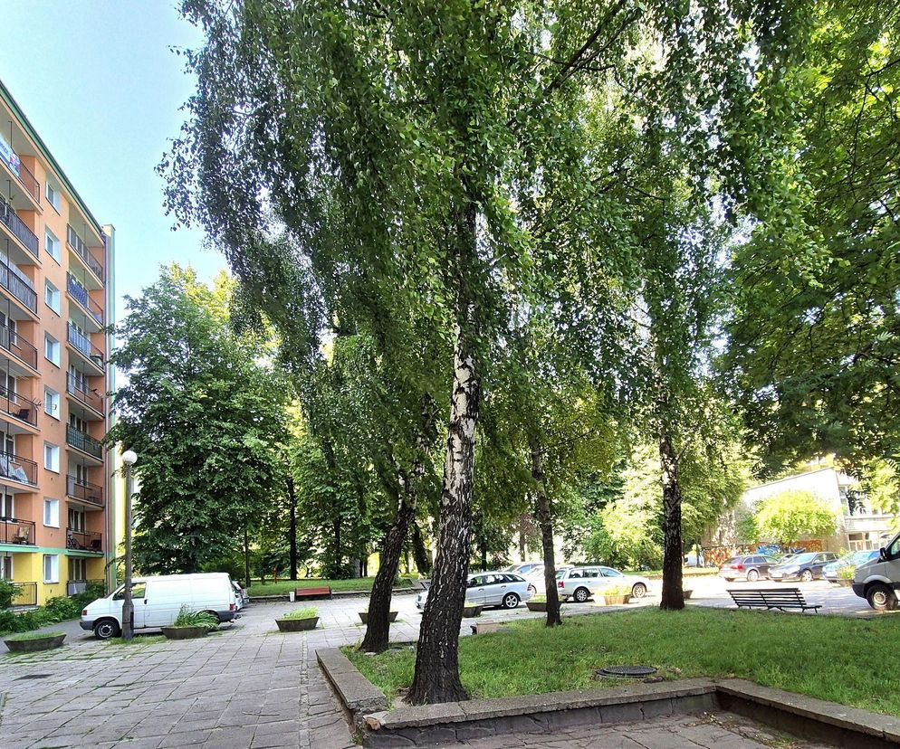 Nowy amfiteatr w Lublinie? Miasto szuka wykonawców