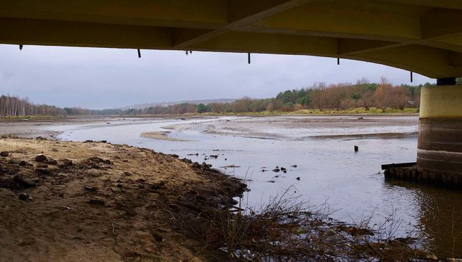 Mroczne klimaty nad zalewem brodzkim. Idealne na spacer dla fotografów