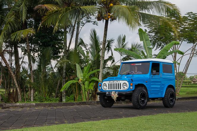 Suzuki LJ