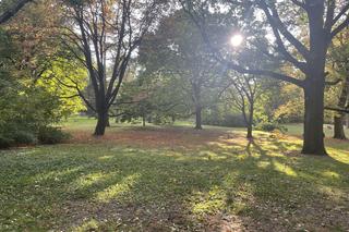 Jesień w parku Praskim