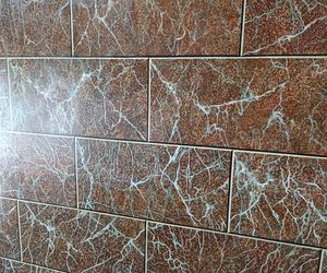 Renowacja kamienicy przy ul. Cybulskiego 19, Wrocław