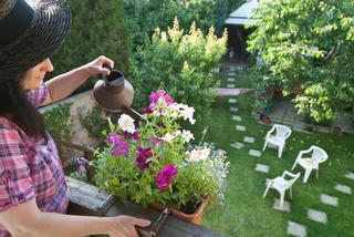 Jak pielęgnować kwiaty na balkonach w sezonie? Te zabiegi są konieczne!