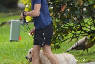 Shawn Mendes i jego pies - golden retriever o imieniu Tarzan