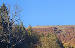 Bieszczady na jesień 