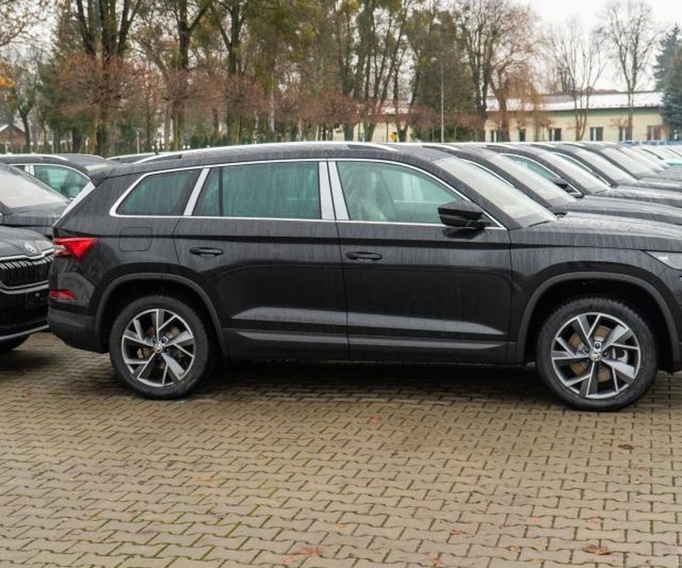 Jednym z liderów sprzedaży w Polsce jest Skoda