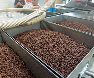 Cukiernia Sowa, linia produkcyjna