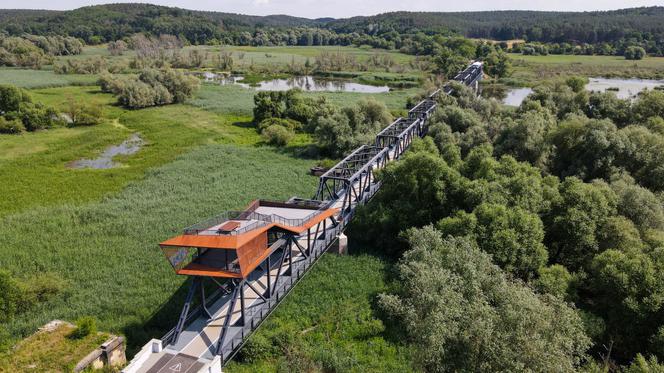 Uroczyste otwarcie mostu Siekierki-Neurüdnitz