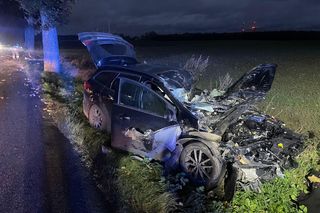 Wichura zmiotła drzewo na samochód. Ojciec i córka poszkodowani