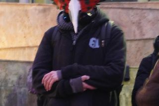 Podkoziołek 2025. Kolorowy pochód w Poznaniu