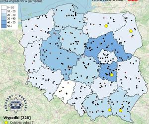 Ta mapa zmusza do myślenia. Powinien ją zobaczyć każdy kierowca!