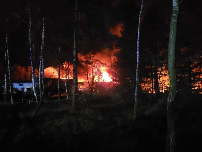 Ogromny pożar koło Tomaszowa Mazowieckiego