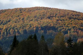 Podkarpacie to idealny kierunek na wiosenny weekend. Oto najpiękniejsze zakątki tego regionu