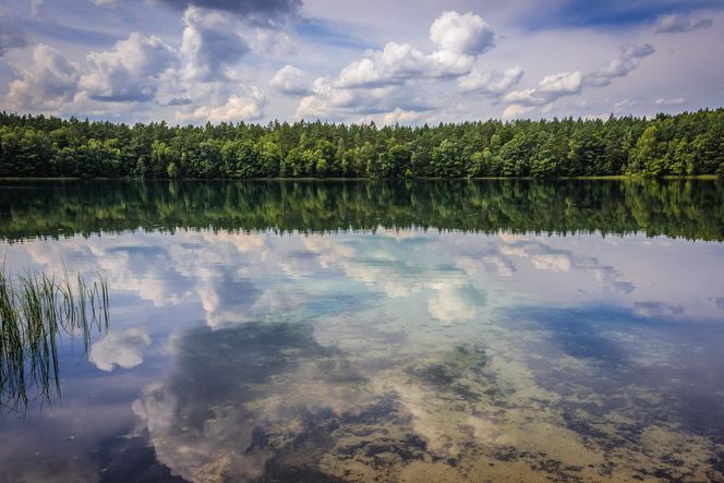 Jezioro Czyste nieopodal Iławy