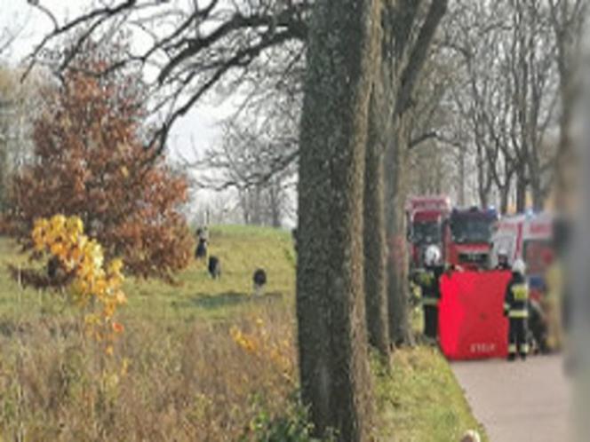 Śmiertelne potrącenie w powiecie olsztyńskim