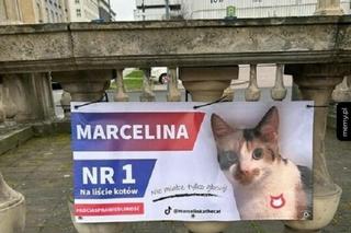 Wybory samorządowe 2024. Te memy zostaną ci w pamięci na długo! 