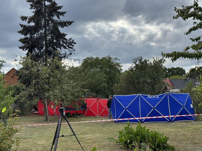 Wypadek awionetki w Krzycku Wielkim
