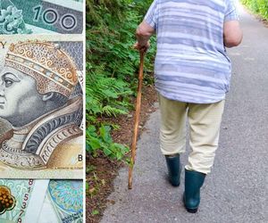 Dodatkowe pieniądze z ZUS w październiku. Ta grupa dostanie podwójne przelewy