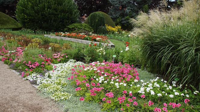 To jeden z najpiękniejszych ogrodów botanicznych w Polsce. Znajduje się na Dolnym Śląsku 