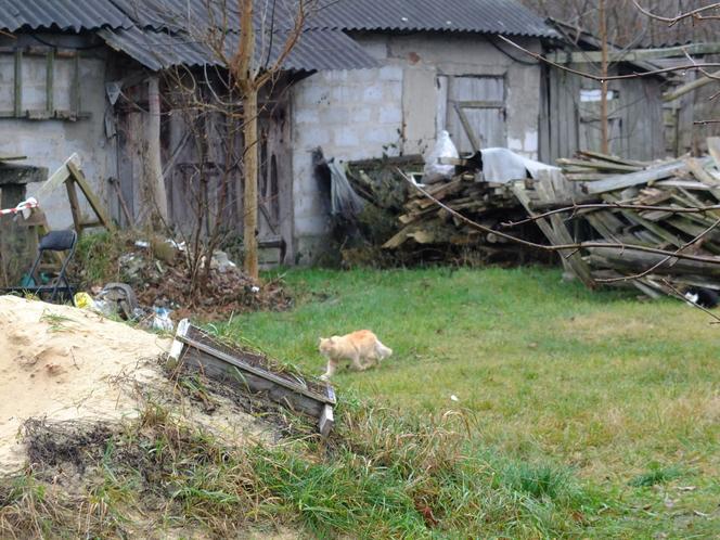 TO CUD ZE MIESZKAJĄCY W TYM DOMU 77-LATEK PRZEŻYŁ. WYBUCH GAZU ZŁOŻYŁ BUDYNEK JAK DOMEK Z KART