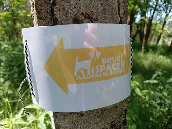 II Spacer Śladami Kliforda w Grudziądzu