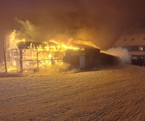 Pożar na Skrzycznem zagrażał schronisku