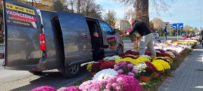 Przygotowania do Wszystkich Świętych Zamość