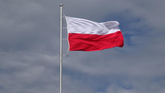 Wybory 2019. Piotr Lisiecki jedynką Konfederacji Wolność i Niepodległość w Olsztynie
