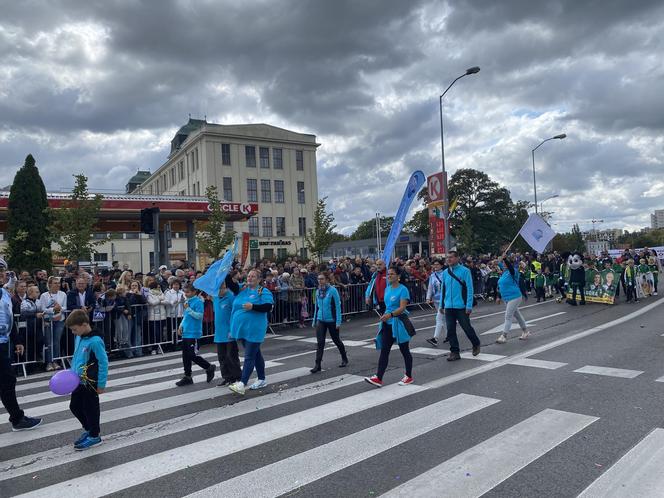 Korowód Winobraniowy 2024 w Zielonej Górze