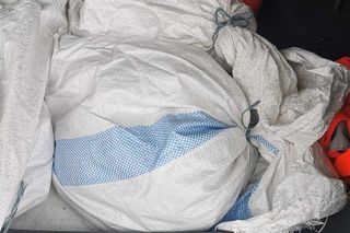 Szok we Wrocławiu. Ktoś zapakował kocięta do worków i wyrzucił na śmietnik