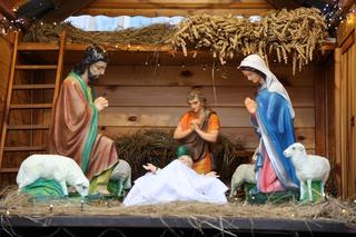 Szopki bożonarodzeniowe w lubelskich kościołach. Zobacz zdjęcia! 