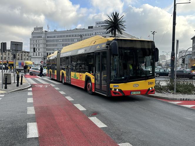 Koszmarny wypadek przy palmie. Autobus przejechał pieszą, a ulicą polała się krew