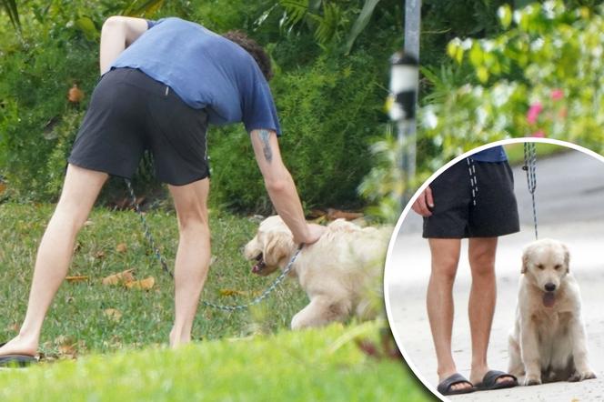 Shawn Mendes trenuje psa