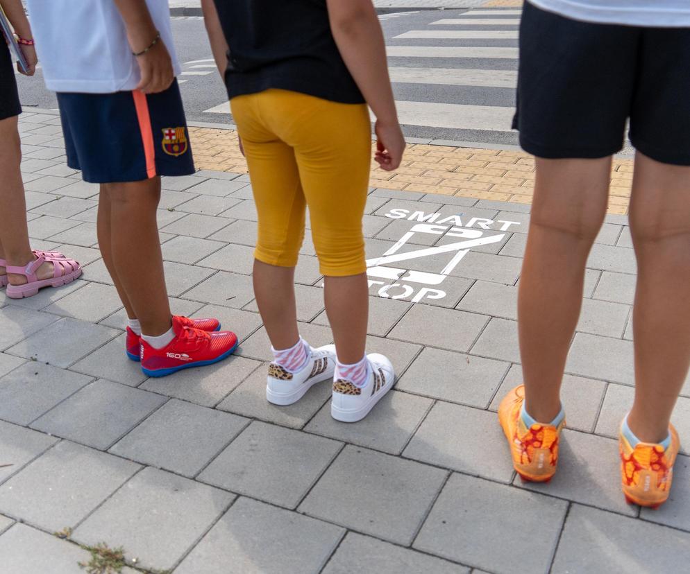 We Wrocławiu powstają nowe znaki na drogach. Sprawdź, co będą oznaczały