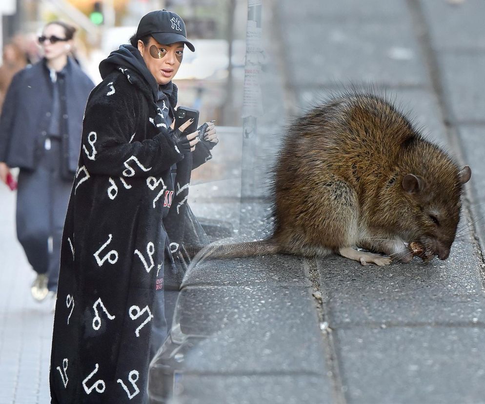 Paticia Kazadi w drodze do butiku na przymiarki spotkala szczura na swojej drodze