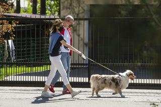 Michał Kamiński z żoną Anną oraz psem, owczarkiem australijskim