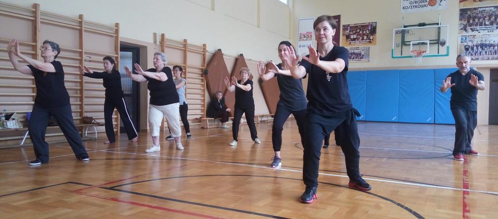 Narodowy Dzień Sportu 2018 w Lublinie - Tai Chi