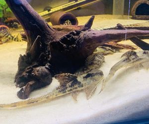 Rozmawiamy z Tomaszem Wiśniewskim, założycielem Aqua Dreams Bydgoszcz