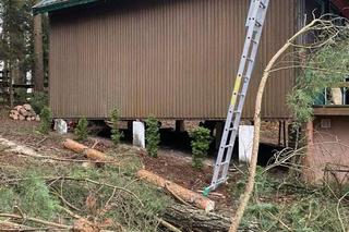 Martwy mężczyzna wisiał na drzewie! Koszmar pod Olsztynem