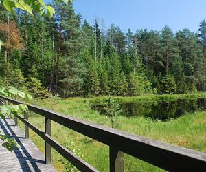 Wigierski Park Narodowy. To bezcenny obszar podlaskiej natury