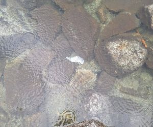Morskie Oko zaśmiecone jak nigdy. To sprawka turystów. TPN opublikował zdjęcia.