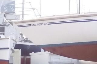 Tak nazywają się jachty i łodzie w gdyńskiej marinie