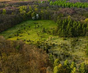 Ponidzie w obiektywie. Zobacz piękne fotografie!