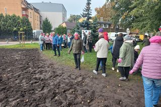 Posadzili żonkile w Lesznie. Dziś Europejski Dzień Walki z Rakiem Piersi