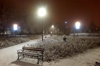 Ze szronem są jeszcze piękniejsze! Świąteczne iluminacje w Łomży