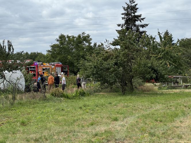 Wypadek awionetki w Krzycku Wielkim
